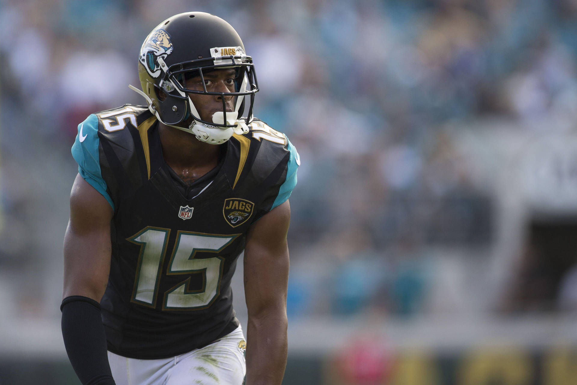 Jacksonville Jaguars’ 2023 Season: A New Era of Excellence